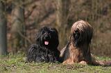 BRIARD 072